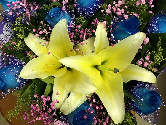 運城仿真花束|苗木批發