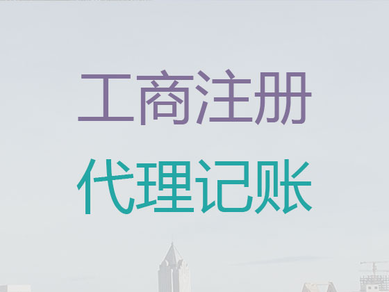 南京代理公司記賬|代辦代理集團公司記賬,財務審計